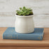 White Ceramic 25 Ounce Striped Round Distressed Pot Planter