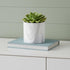 White And Gray Ceramic 41 Ounce Faux Marble Round Pot Planter