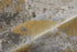 8' X 11' Ivory Gray And Gold Abstract Area Rug
