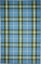 8' X 10' Blue and Green Abstract Hand Woven Area Rug