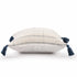 20" Ivory and Blue Throw Pillow