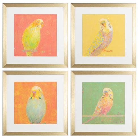 Set Of Four Colorful Bird B S/4 Gold Framed Print Wall Art