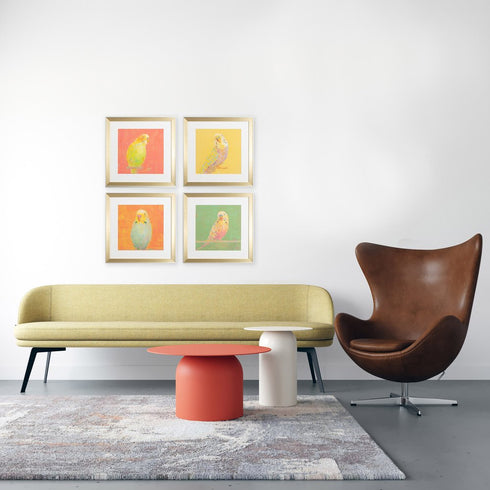 Set Of Four Colorful Bird B S/4 Gold Framed Print Wall Art