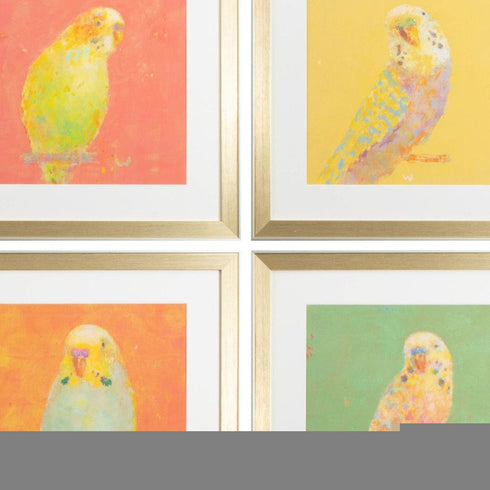 Set Of Four Colorful Bird B S/4 Gold Framed Print Wall Art