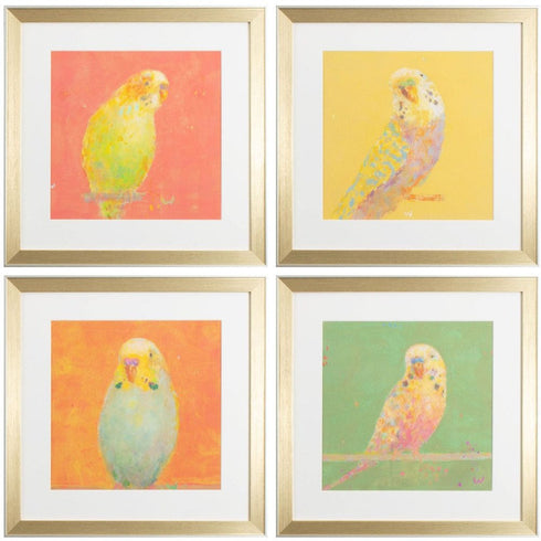 Set Of Four Colorful Bird B S/4 Gold Framed Print Wall Art