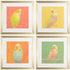 Set Of Four Colorful Bird B S/4 Gold Framed Print Wall Art