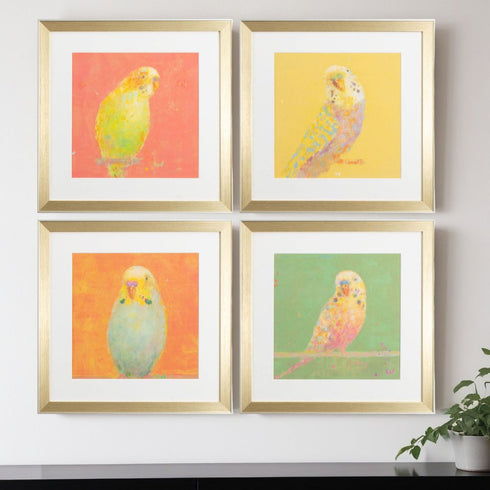 Set Of Four Colorful Bird B S/4 Gold Framed Print Wall Art
