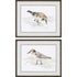 Set Of Two Sandpiper Black Framed Print Wall Art