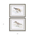 Set Of Two Sandpiper Black Framed Print Wall Art