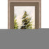 Evergreen Silver Framed Print Wall Art