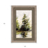 Evergreen Silver Framed Print Wall Art