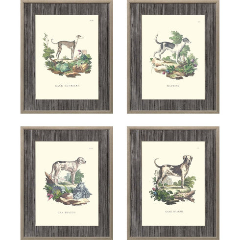 Set Of Four French Dogs Gold Framed Print Wall Art
