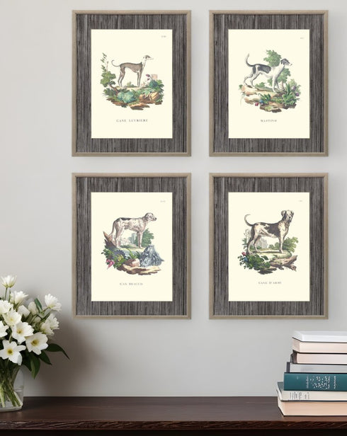 Set Of Four French Dogs Gold Framed Print Wall Art