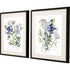 Set Of Two Botana Black Framed Print Wall Art