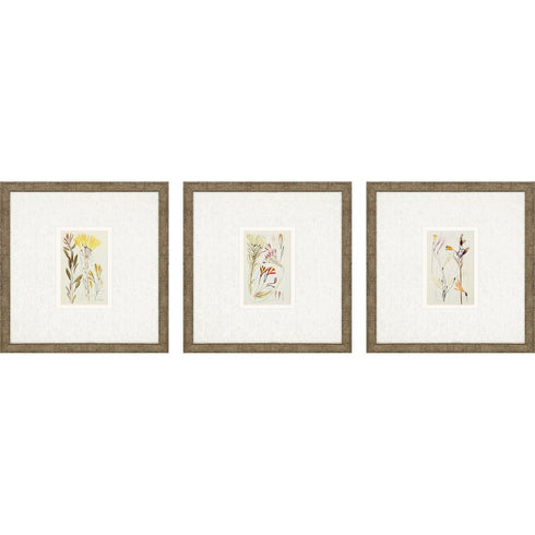 Set Of Three Antique Botanical II Gold Framed Print Wall Art