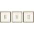 Set Of Three Antique Botanical II Gold Framed Print Wall Art