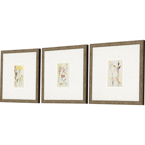 Set Of Three Antique Botanical II Gold Framed Print Wall Art