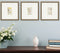 Set Of Three Antique Botanical II Gold Framed Print Wall Art
