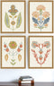 Set Of Four Folk Flourish Gold Framed Print Wall Art