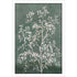 Delicate Tree I White Framed Print Wall Art