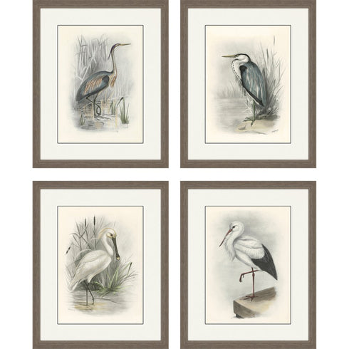 Set Of Four Birds Brown Framed Print Wall Art