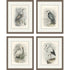 Set Of Four Birds Brown Framed Print Wall Art