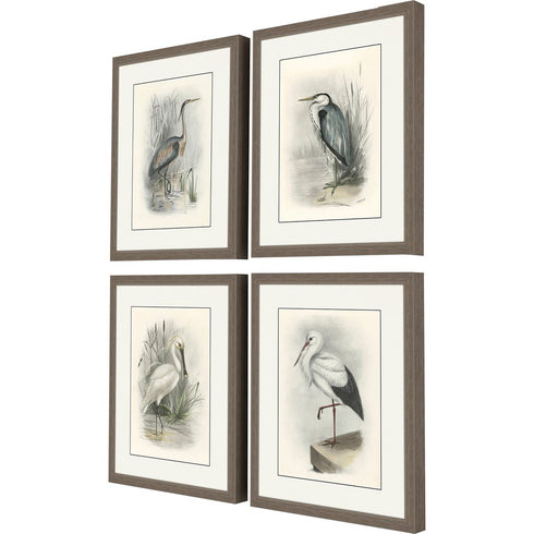 Set Of Four Birds Brown Framed Print Wall Art