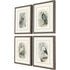 Set Of Four Birds Brown Framed Print Wall Art