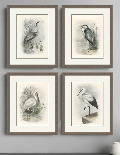 Set Of Four Birds Brown Framed Print Wall Art