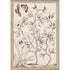 Shimmering Garden I Silver Framed Print Wall Art