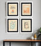 Set Of Four Lepal II White Framed Print Wall Art