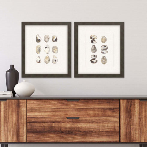 Set Of Two Shell Series S/2 Brown Framed Print Wall Art