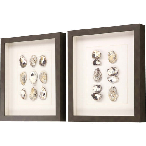 Set Of Two Shell Series S/2 Brown Framed Print Wall Art