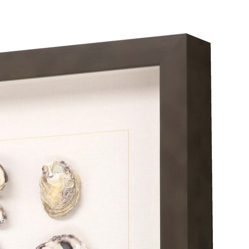 Set Of Two Shell Series S/2 Brown Framed Print Wall Art