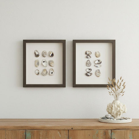 Set Of Two Shell Series S/2 Brown Framed Print Wall Art