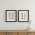 Set Of Two Shell Series S/2 Brown Framed Print Wall Art