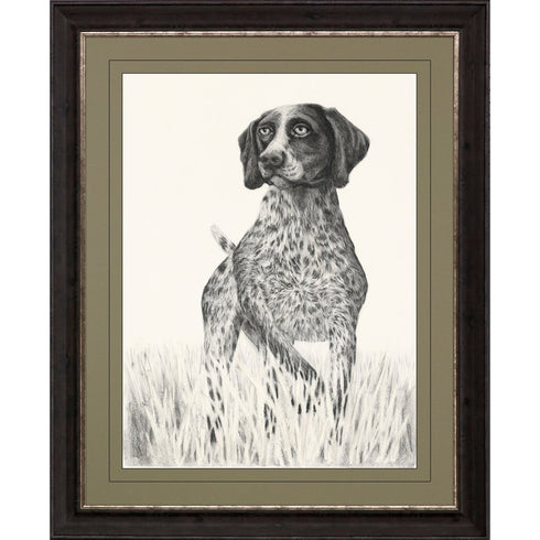 Hunting Dog Brown Framed Print Wall Art