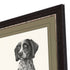 Hunting Dog Brown Framed Print Wall Art