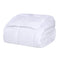 King White Cotton Plain Weave Striped Blanket