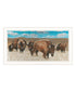 Bison Herd White Framed Print Wall Art