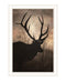 Elk Sunrise White Framed Print Wall Art