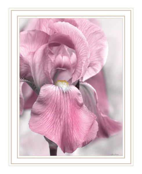 Pink Iris White Framed Print Wall Art