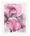 Pink Iris White Framed Print Wall Art