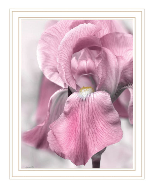 Pink Iris White Framed Print Wall Art