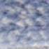 8' X 10' Blue and Gray Oriental Power Loom Area Rug