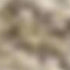 8' X 10' Taupe and Ivory Floral Non Skid Area Rug