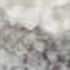 8' X 10' Ivory and Gray Floral Power Loom Area Rug