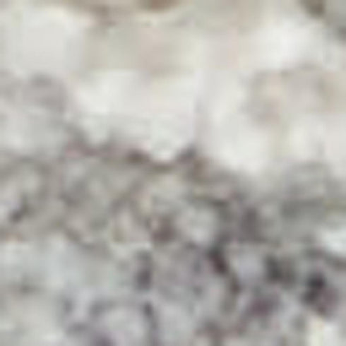 8' X 10' Ivory and Gray Floral Power Loom Area Rug