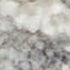 8' X 10' Ivory and Gray Floral Power Loom Area Rug