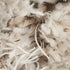 8' X 10' Beige Ivory and Gray Abstract Shag Area Rug